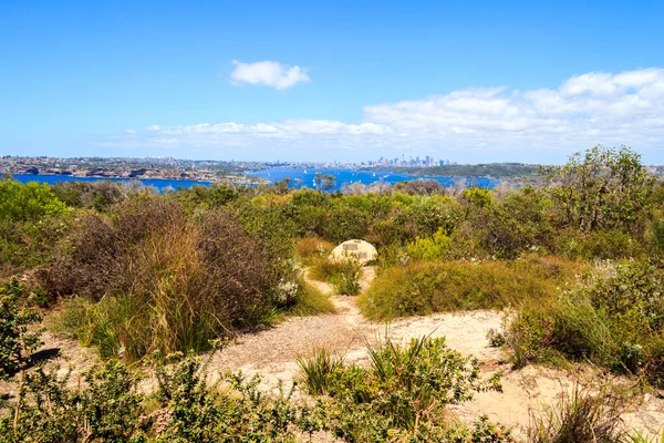 View of Sydney Harbor from North Point — Stock Photo, Image