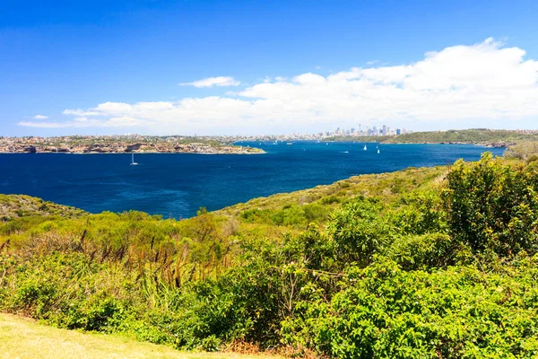 Blick auf den Hafen von Sydney vom Nordpunkt — Stockfoto