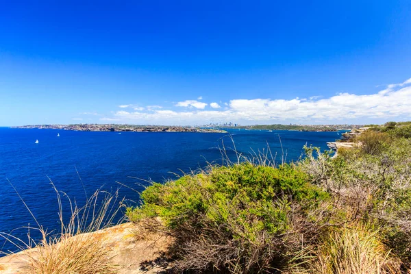 Blick auf den Hafen von Sydney vom Nordpunkt — Stockfoto