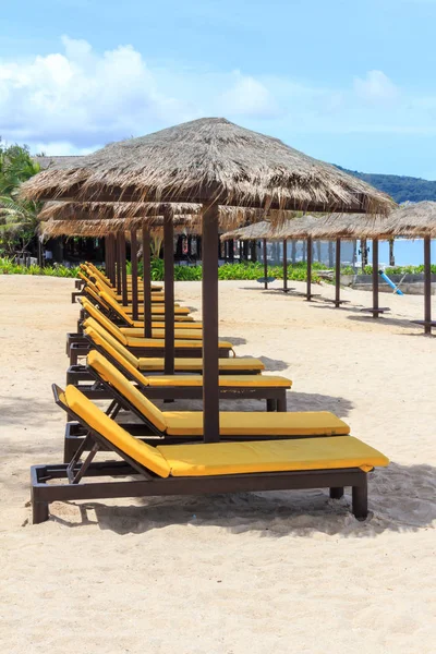 Row of beach parasols and chairs — Stock Photo, Image