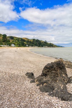 Coromandel Yarımadası 'ndaki taşlı plaj.