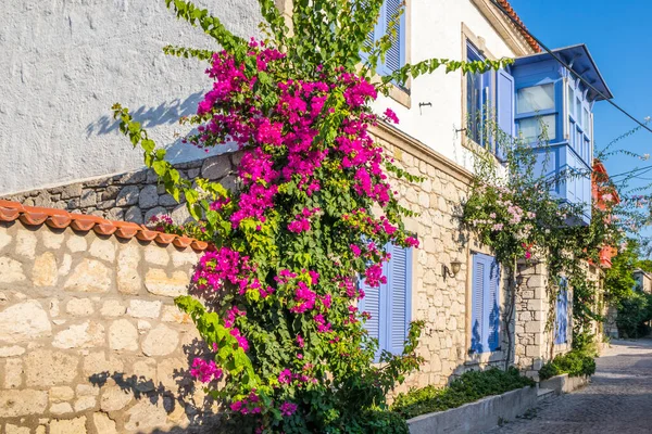 Bougainvillaea ile ev — Stok fotoğraf