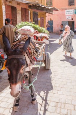 Tipik sokak sahnesinde eşek.