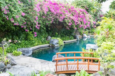 Yüzme Havuzu ve tropikal Bahçe