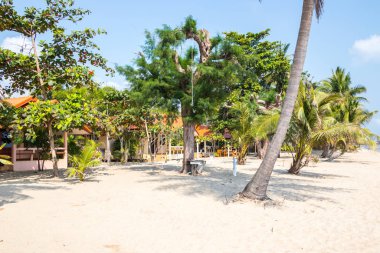 Chumphon, Tayland 'da palmiye ağaçları olan tropik plajlarda tatil.