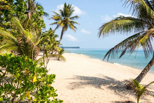 Tropical Beach Palm Trees Chumphon Thailand — Stock Photo, Image