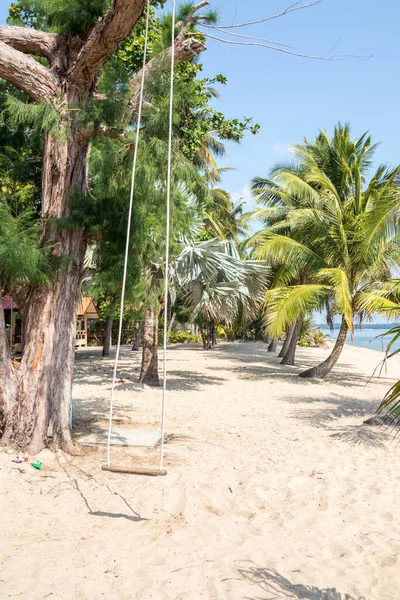带棕榈树的热带海滩上的绳索摇曳 — 图库照片