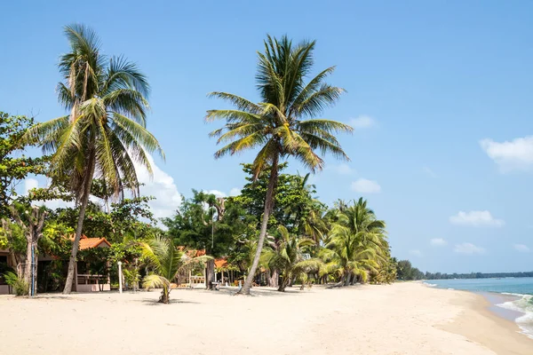 Ośrodek Tropikalnej Plaży Palmami Chumphon Tajlandia — Zdjęcie stockowe