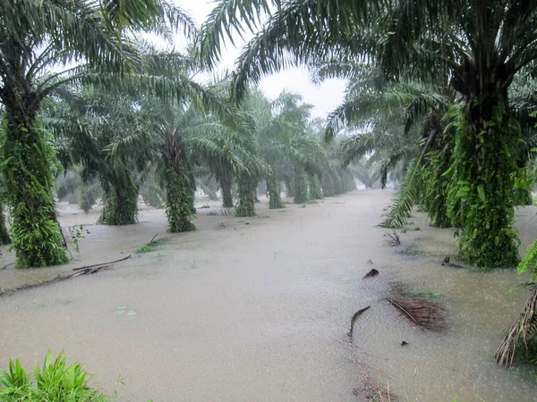 Tayland Phang Nga Muson Mevsimi Boyunca Sular Altında Kalan Yol — Stok fotoğraf