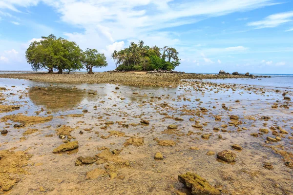 Дерева Скелястому Острові Пляж Най Янг Пхукет Таїланд — стокове фото