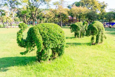 Lumphini Park, Bangkok, Tayland 'daki Topçu filleri