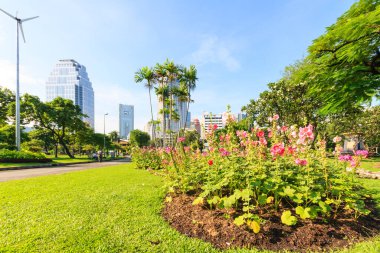 Lumphini Park, Bangkok, Tayland 'da çiçek tarhı
