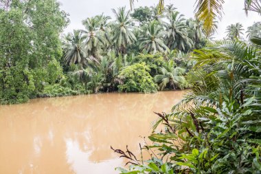 Chumphon, Tayland 'daki tropikal bir arazide sel baskını.