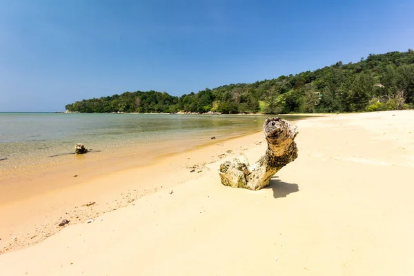 Driftwood Whote Sand Stranden Vid Layan Bang Tao Bay Phuket — Stockfoto