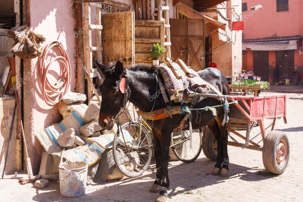 Horse and cart in the streets of Marrakesh, Morocco