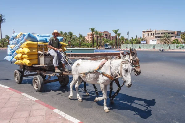 Marakeş, Fas - 8 Eylül 2010: At ve at arabasındaki adam bir kavşakta mal taşıyor. Bu taşıma biçimi hala kullanımda.