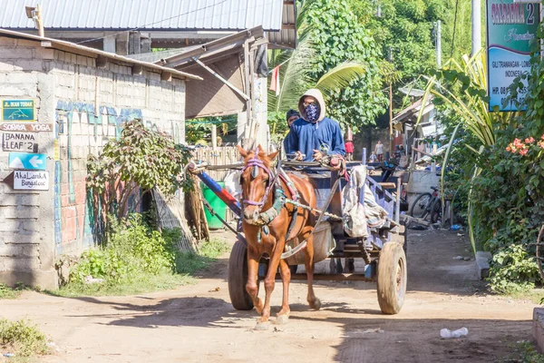 Gili Trawangan Indonesia 6Th June 2017 Man Driving Horse Cart — стоковое фото