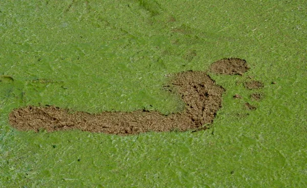 Contaminación Ambiental Huella Del Pie Humano Barro — Foto de Stock