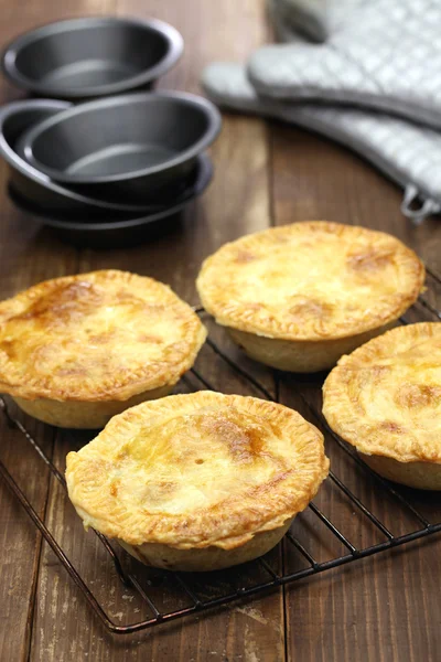 Homemade aussie meat pie — Stock Photo, Image