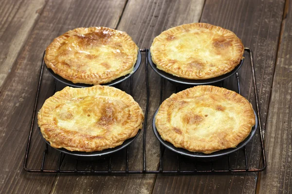 Homemade aussie meat pie — Stock Photo, Image