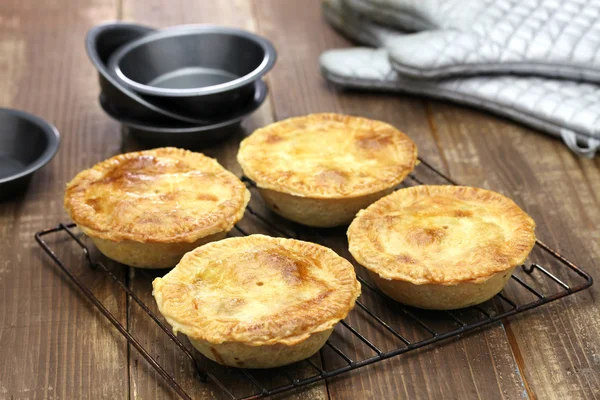 Homemade aussie meat pie — Stock Photo, Image