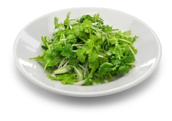 Cilantro salad, coriander salad — Stock Photo, Image