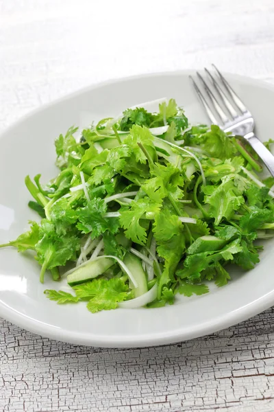 Cilantro salad, coriander salad — Stock Photo, Image