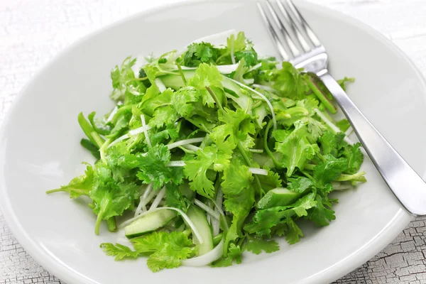Salada de coentro, salada de coentro — Fotografia de Stock
