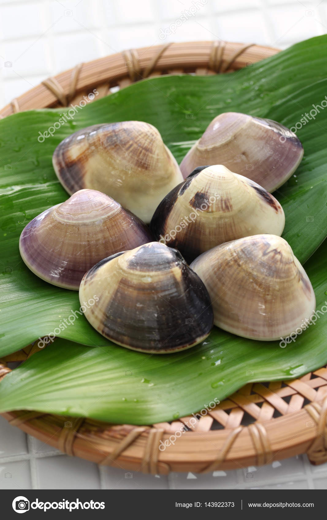 Chousen hamaguri, japanese clams — Stock Photo © asimojet 143922373