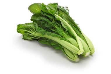  takana, brassica juncea var integrifolia, Japon yaprak sebze