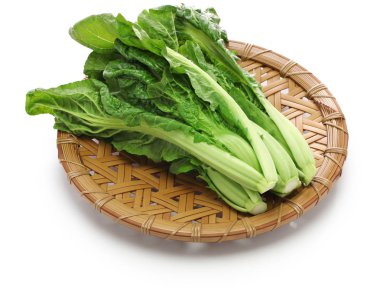  takana, brassica juncea var integrifolia, Japon yaprak sebze