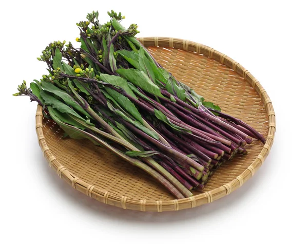 提问蔡泰，紫色蔡总和，紫茎芥 — 图库照片