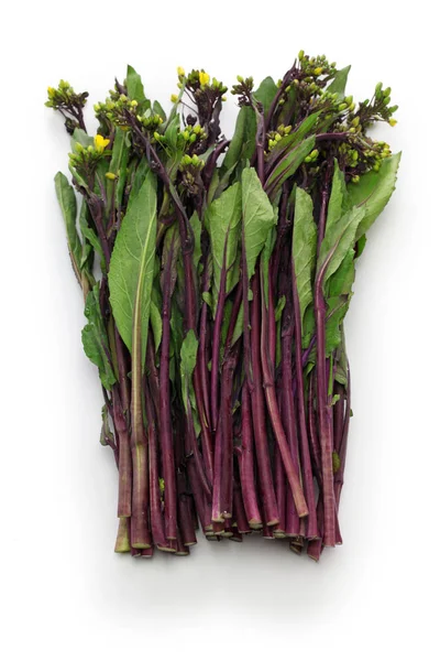 Hon tsai tai, purple choy sum, purple stem mustard — Stock Photo, Image