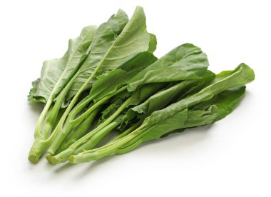 chinese kale, chinese broccoli