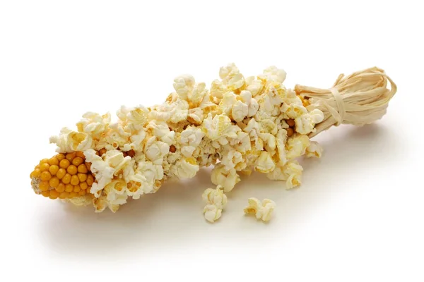 Popcorn auf dem Maiskolben — Stockfoto