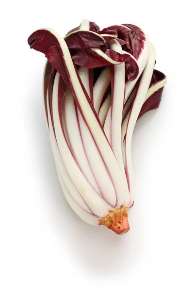 Radicchio Rosso Treviso Tardivo Italské Červené Čekanky Izolovaných Bílém Pozadí — Stock fotografie