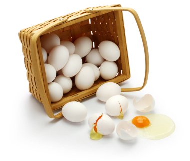dont put all your eggs in one basket. clipart