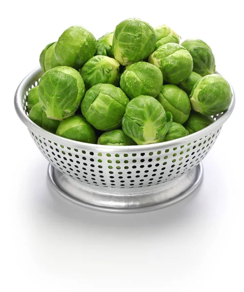 Brussels Segar Sprouts Dalam Colander Terisolasi Latar Belakang Putih — Stok Foto