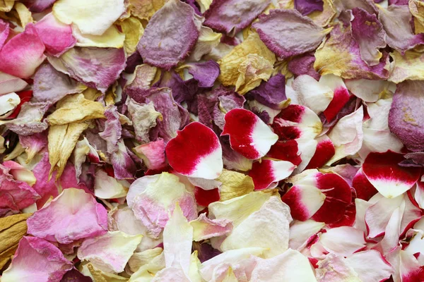 Background Homemade Dried Rose Petals — Stock Photo, Image