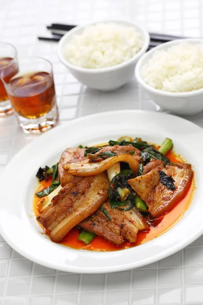 Traditional Twice Cooked Pork Sichuan Style Chinese Dish — Stock Photo, Image