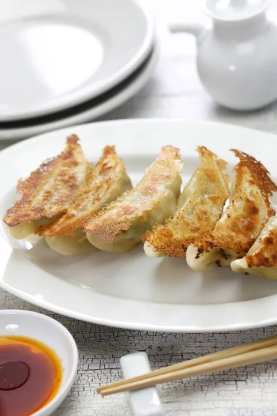 Yaki Gyoza Adesivi Pentole Ravioli Fritti Stile Giapponese — Foto Stock