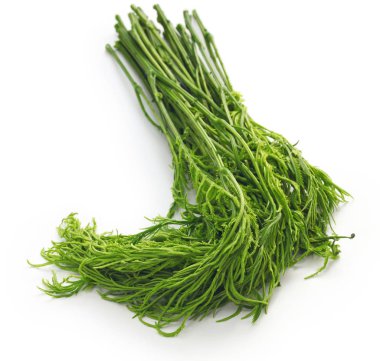 Tay asasya yaprakları beyaz arkaplanda yalıtılmış.