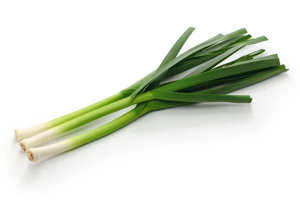 Fresh Green Garlic Chinese Sichuan Cuisine Ingredients Isolated White Background — Stock Photo, Image