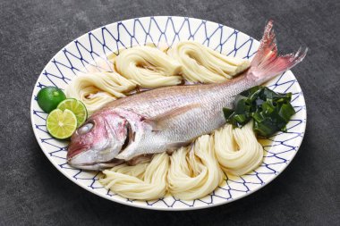 Tai somen, Japon deniz çipli eriştesi