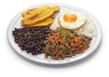 Pabellon Criollo adlı geleneksel Venezuela yemeği beyaz arka planda izole edildi