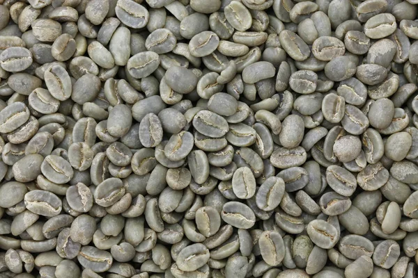 Chicchi Caffè Verde Non Torrefatto — Foto Stock