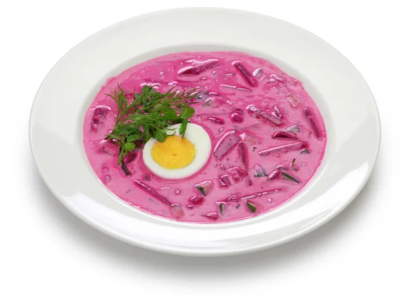 Saltibarscai Cold Beet Soup Kefir Lithuanian Borscht — Stock Photo, Image