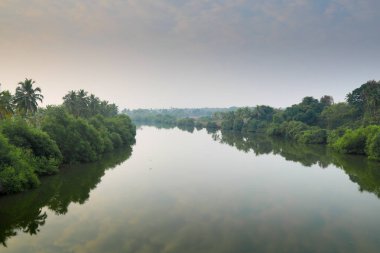 Ağaç kaplı nehir Sal sabah sis, Goa, Hindistan