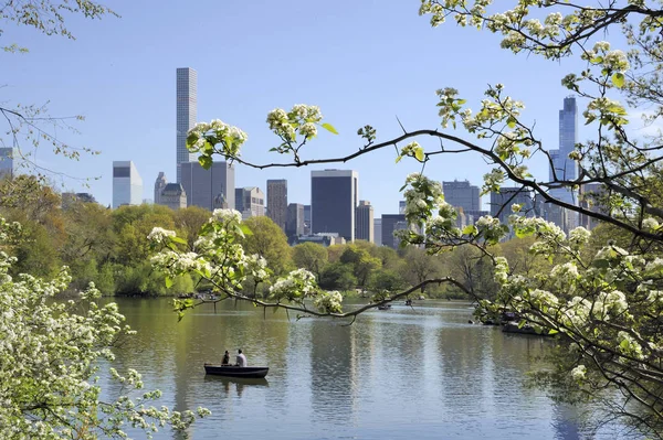 Central Park met skyline van Manhattan New York in de zomer — Stockfoto