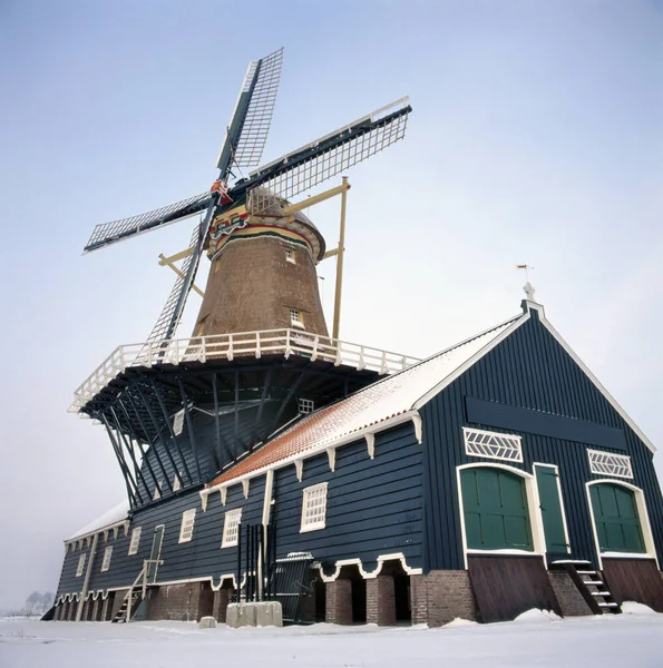 Типичная Голландская Лесопилка Холодный Зимний День Снегом Недалеко Ляйдшендама Нидерланды — стоковое фото